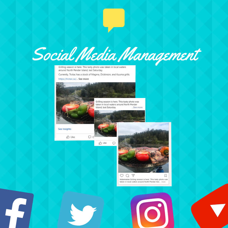 Social Media Content, Strategy & Management